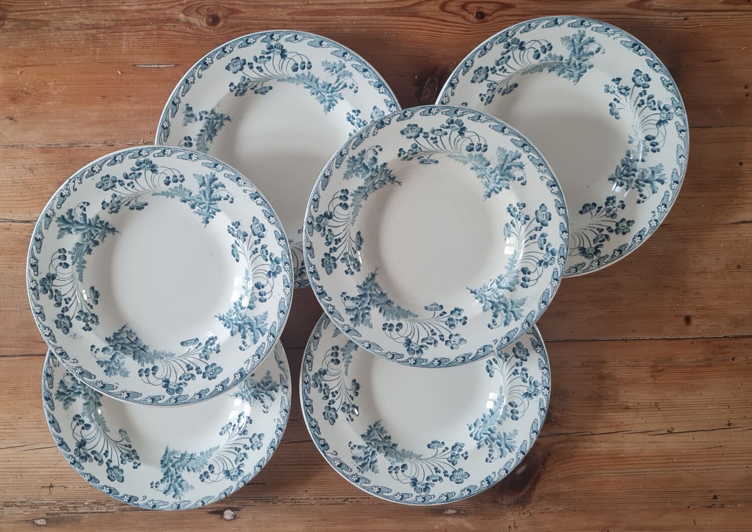 Service of 6 plates in iron earth