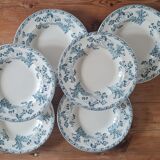 Service of 6 plates in iron earth