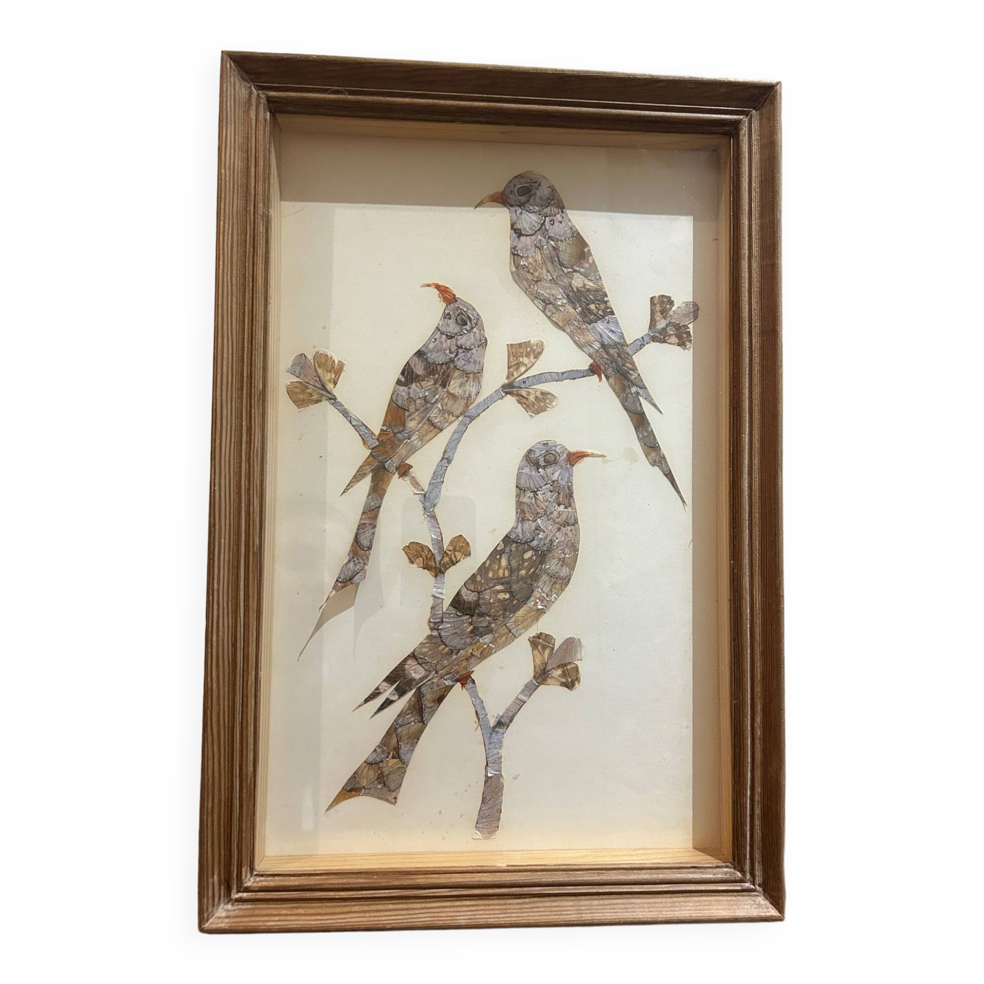 cadre sous verre aux oiseaux