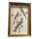 cadre sous verre aux oiseaux