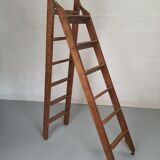 Retractable miller's ladder