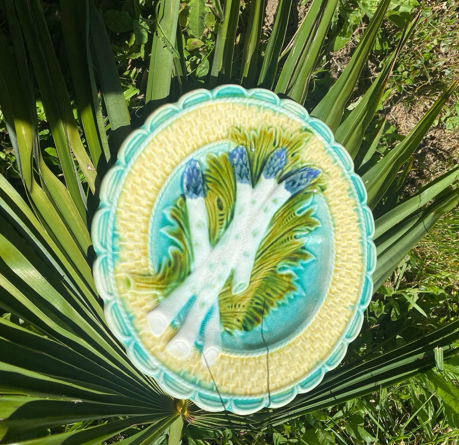 Assiette à asperges, artichaut en majolique
