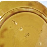 Duo flat plate Slurry pattern fruits