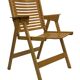 Niko Kralj Rex Plywood Folding Chair for Stol 1950s in wood