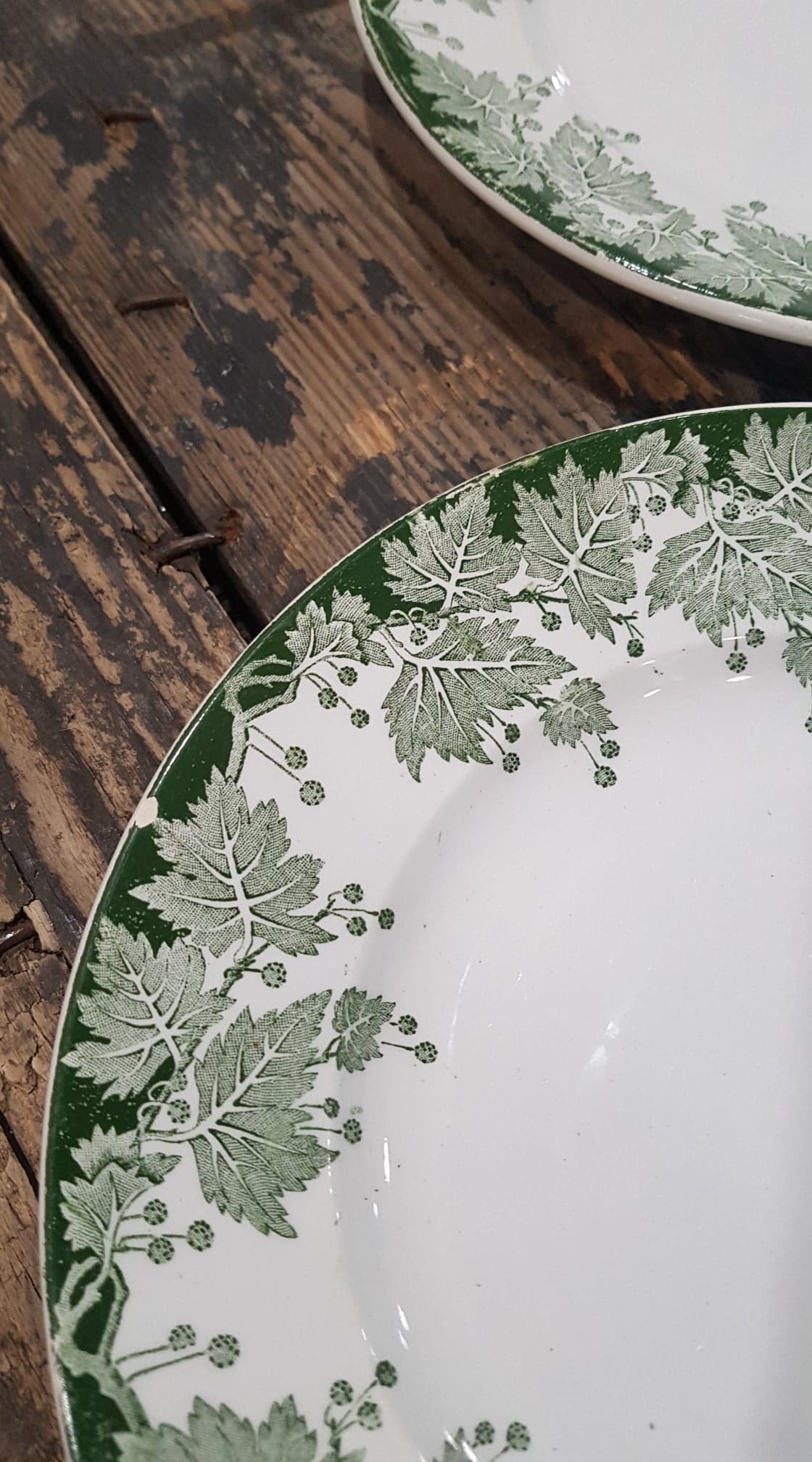 Lot of 6 plates Saint-Amand and Hamage model Platane