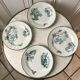 set of 4 flat plates Terre de Fer Saint-Amand model "Cartels" XIXth