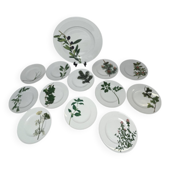 Services à dessert 13 pièces porcelaine Dibbern Herbaticum vers 1980