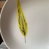 Niderviller 1960 Plume free-form semi-hollow dish