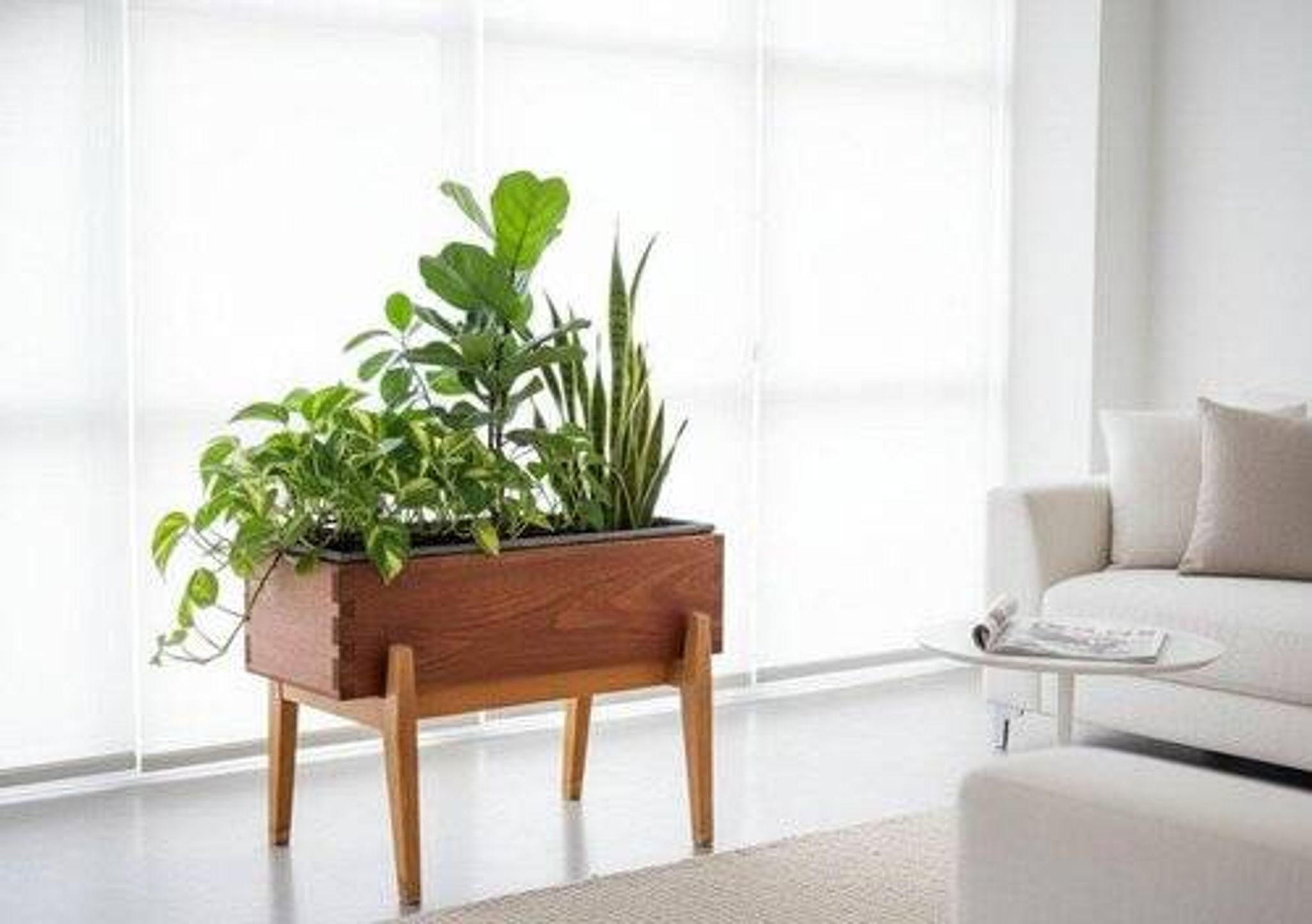Danish Teak and Beech Planter with Zinc Liner, 1950s