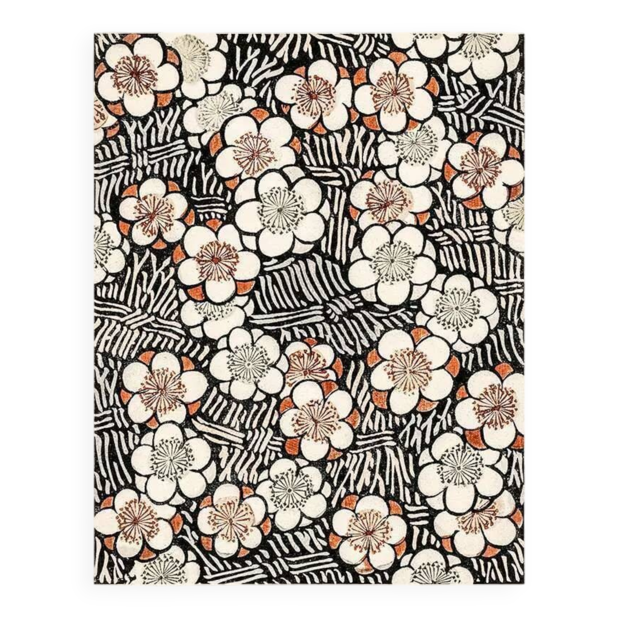 Impression of cherry blossom motif by Watanabe Seitei.