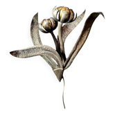 Grande applique fleurs