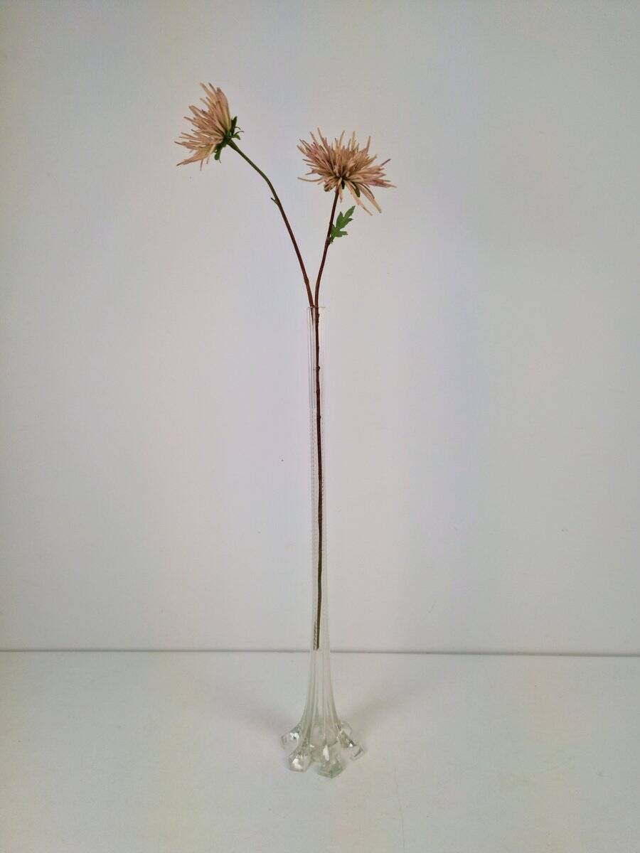 Art Nouveau French Gladioli Fluted Glass Vase, 1920s