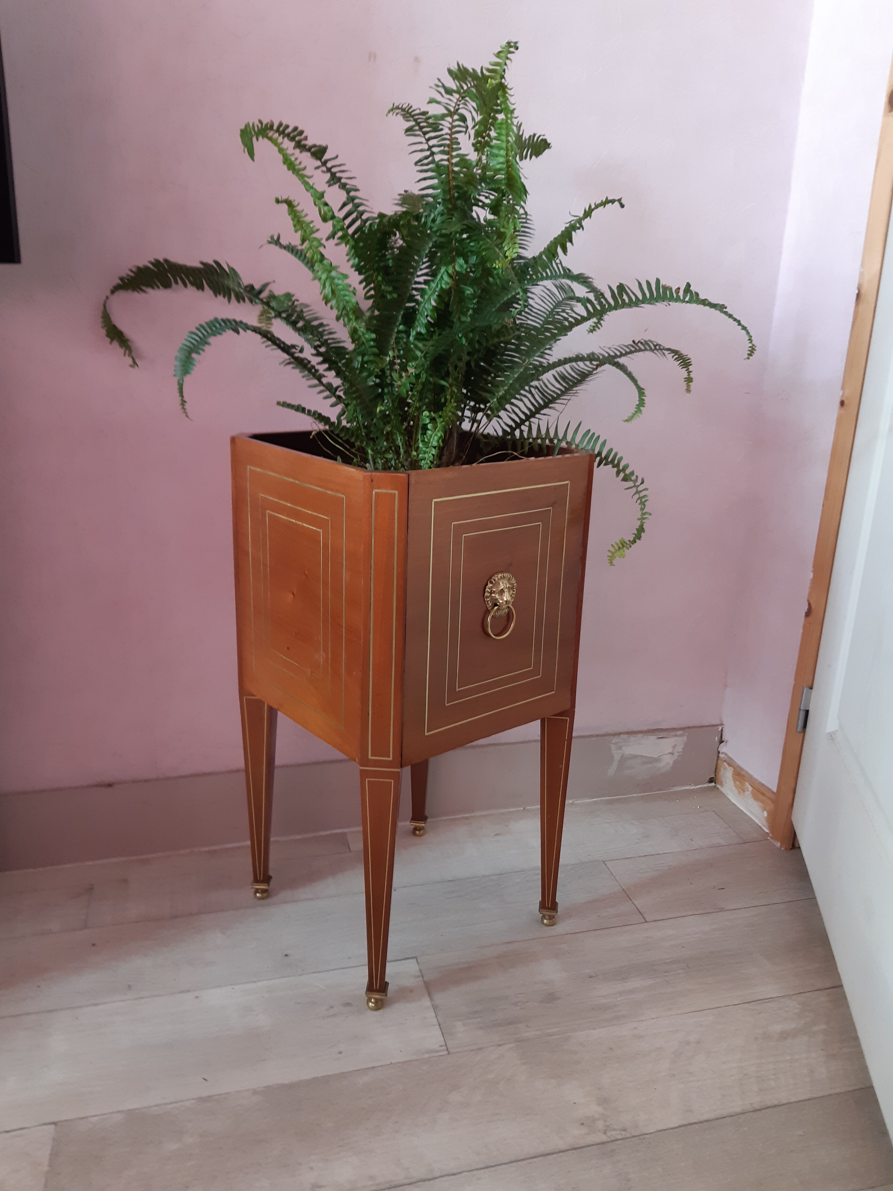 Nineteenth mahogany planter