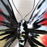 Vallauris polychrome glazed ceramic butterfly