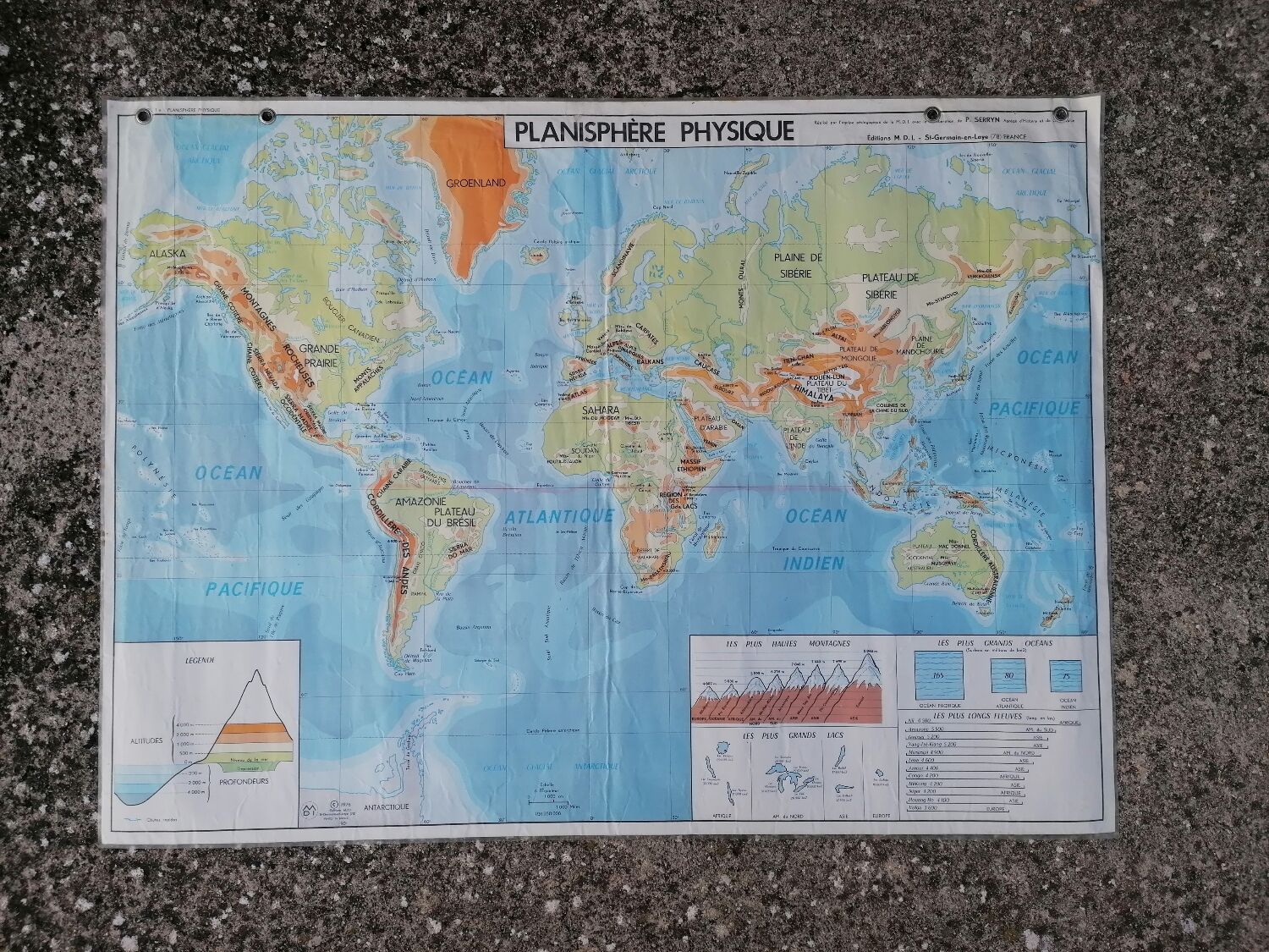 Planisphere world map vintage physics and vegetation