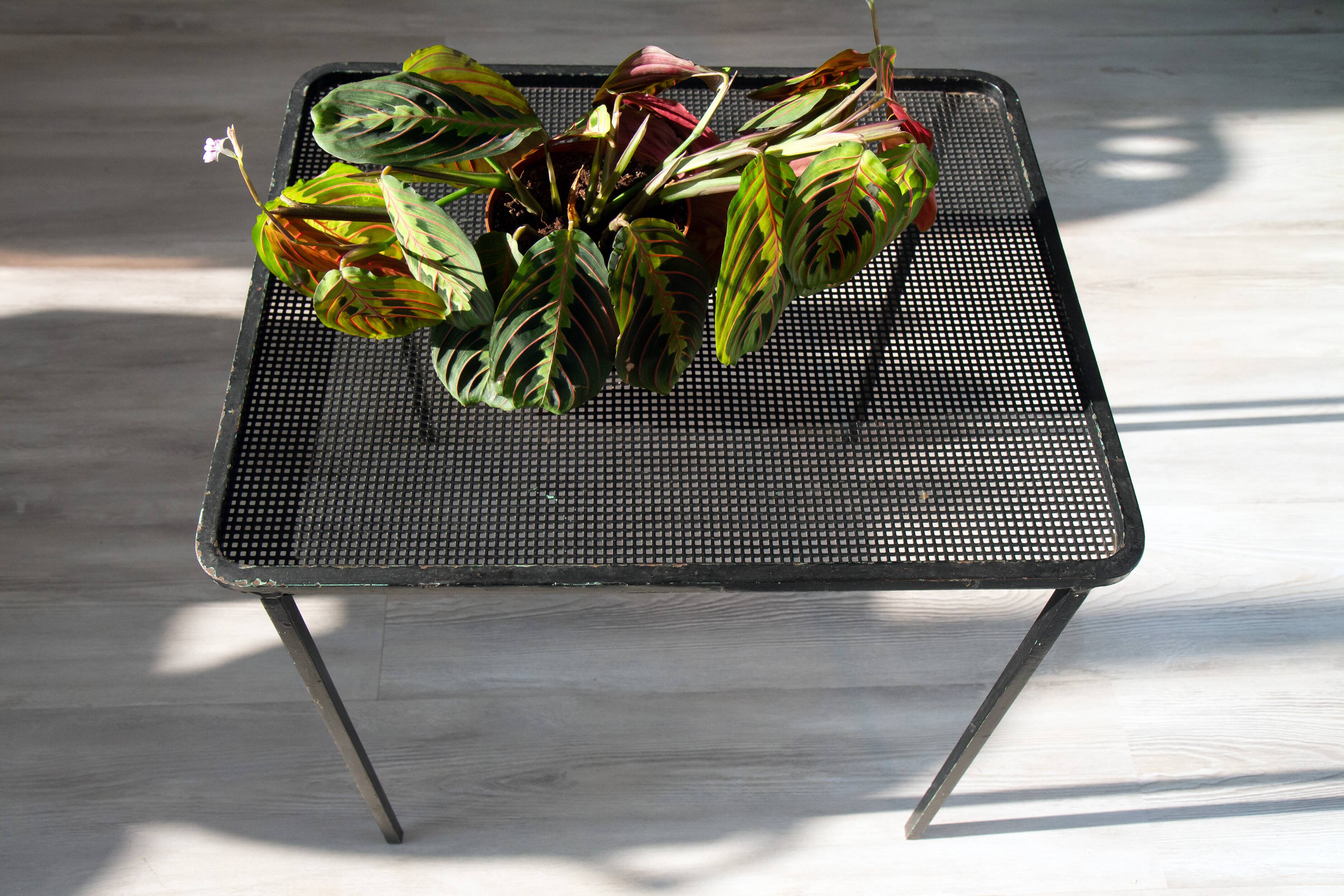 Coffee table from the 1950s, perforated metal attributed to M Matégot