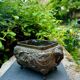 Jardinière, cache-pot en bronze, Asie XIXe siècle