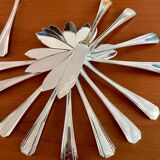 Christofle boréal fish service 26 pieces