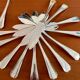 Christofle boréal fish service 26 pieces