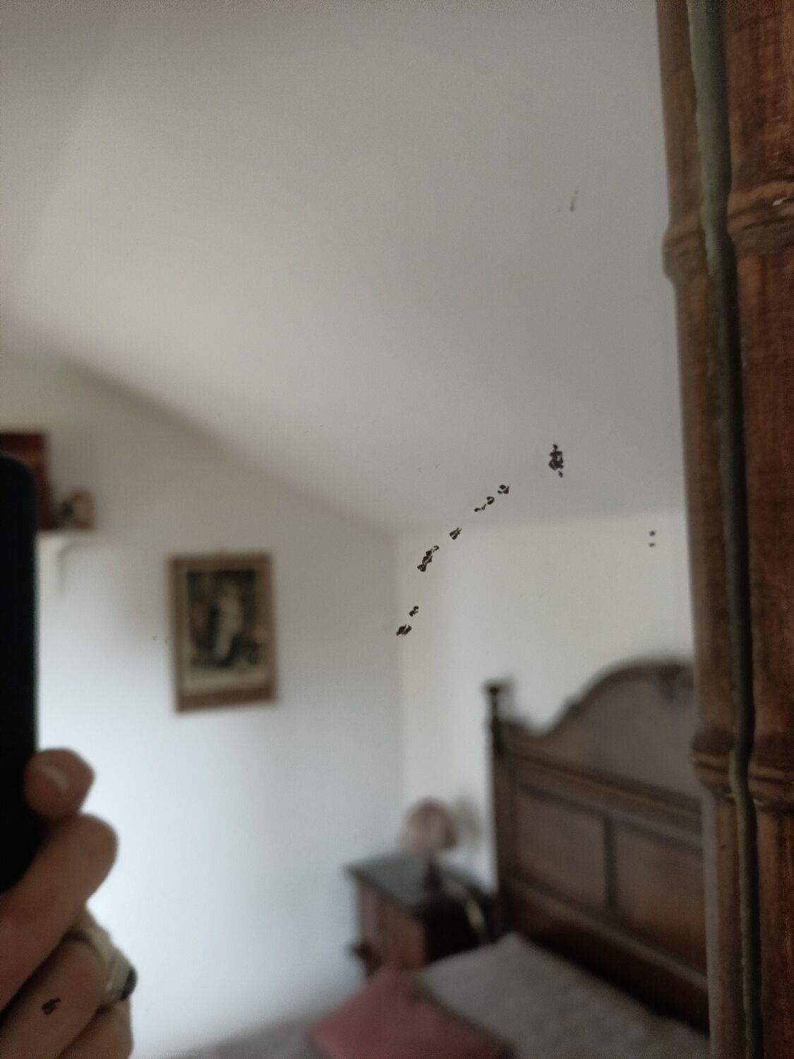 Miroir cadre bambou