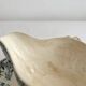 Opaque ironstone sauce boat "Bouquets de roses" from Gien