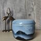 Blue covered pot with virebent