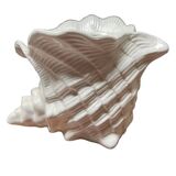 Shell-shaped ceramic vase