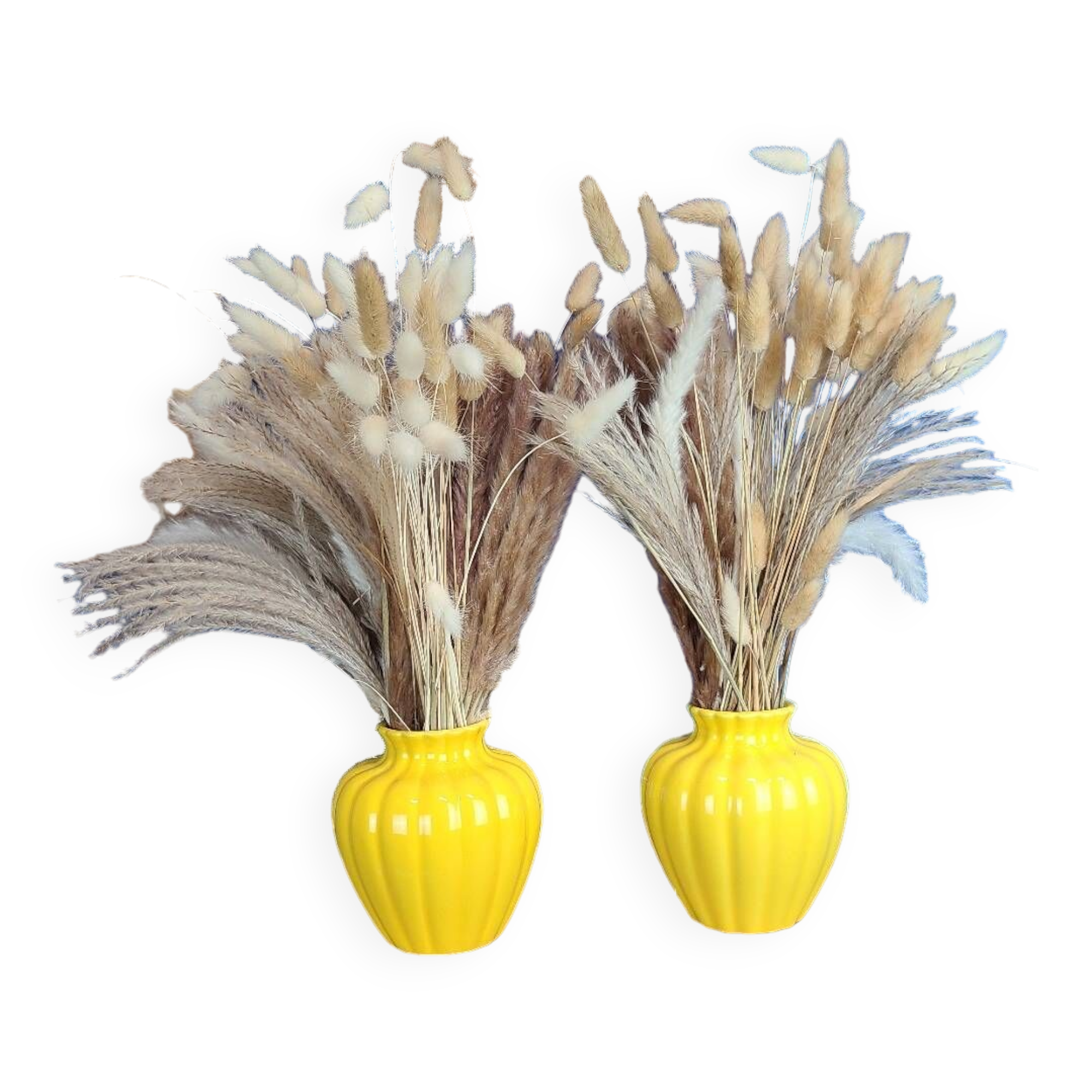 Paire de vase en émail jaune citron