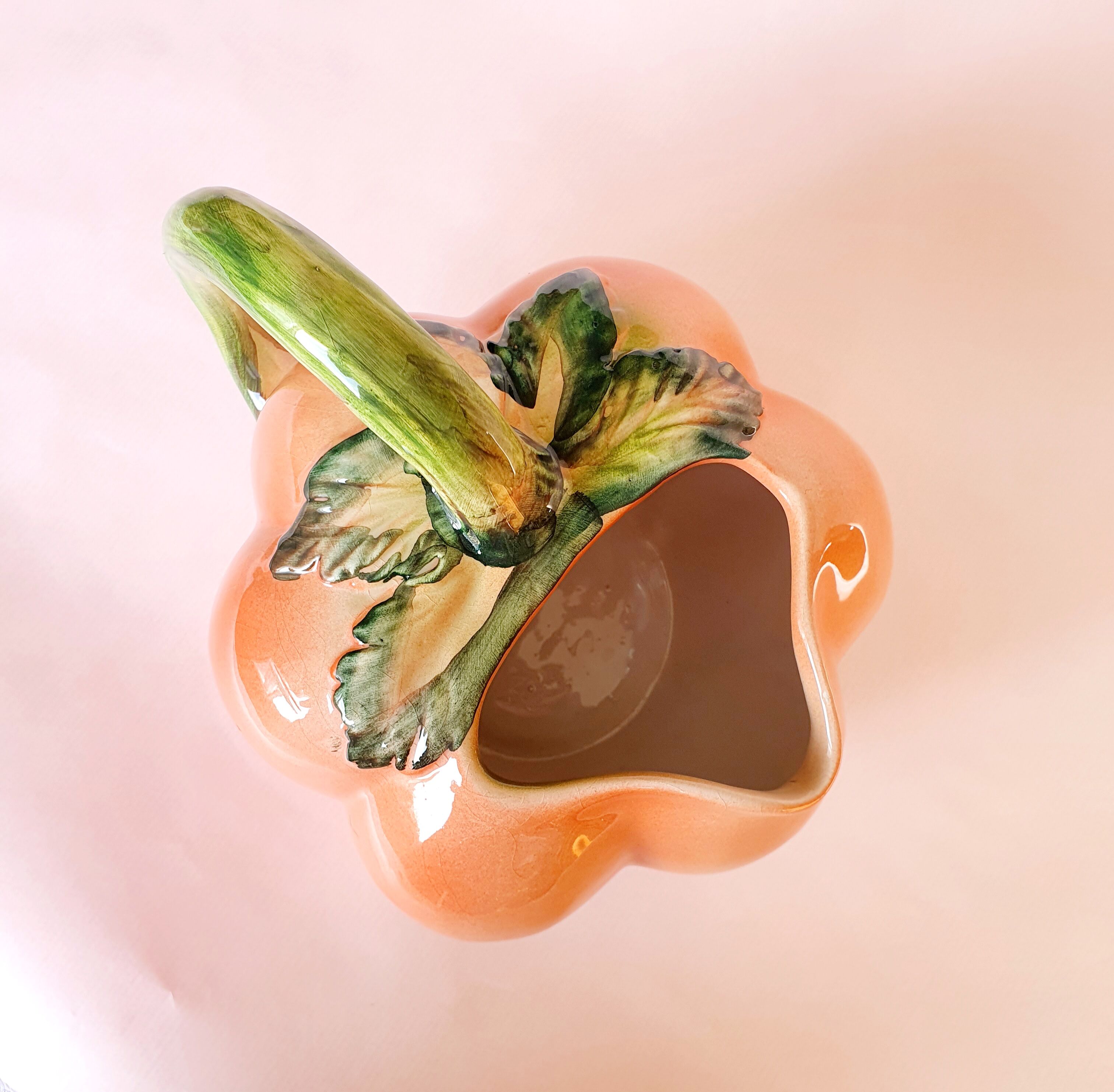 Pitcher slurry Tomato / Pumpkin