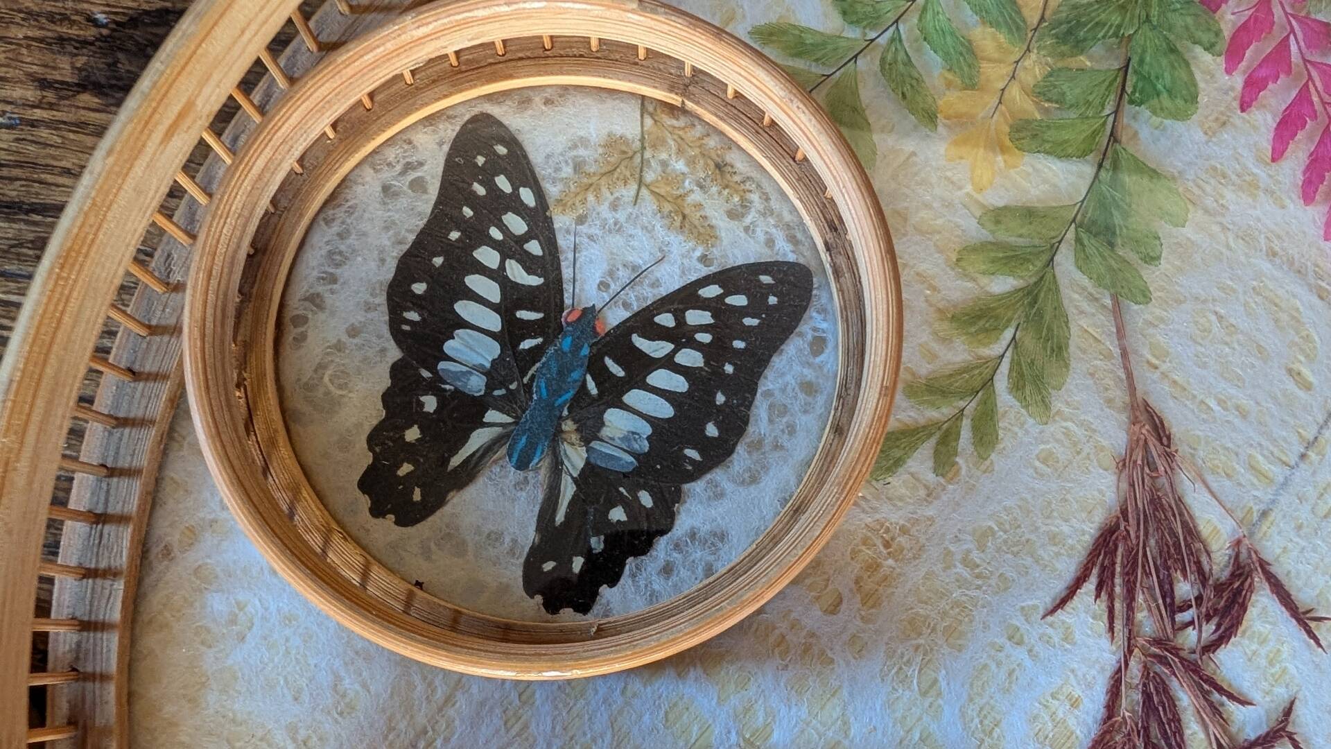 Vintage bamboo tray + 6 butterfly coasters from the 70s