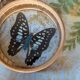 Vintage bamboo tray + 6 butterfly coasters from the 70s