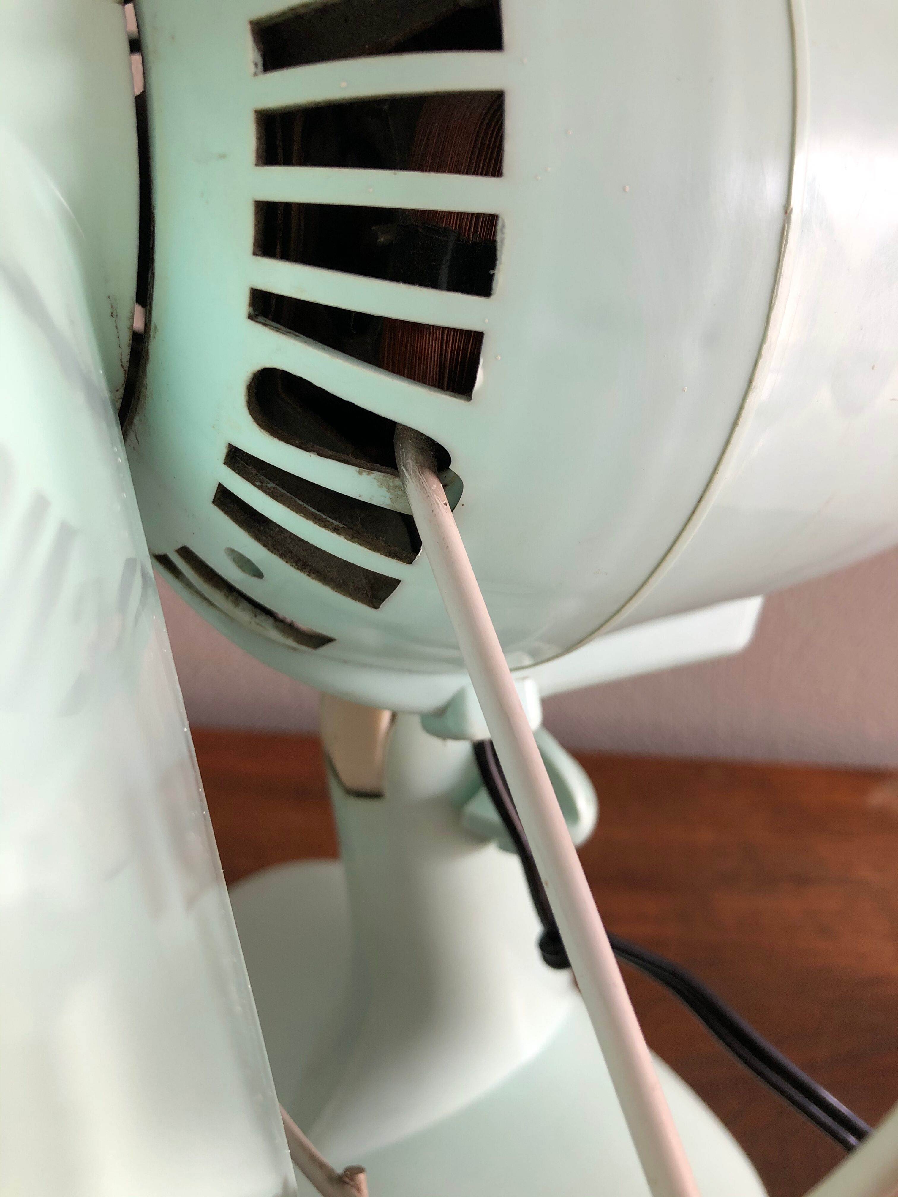 Calor Minth Vintage Fan