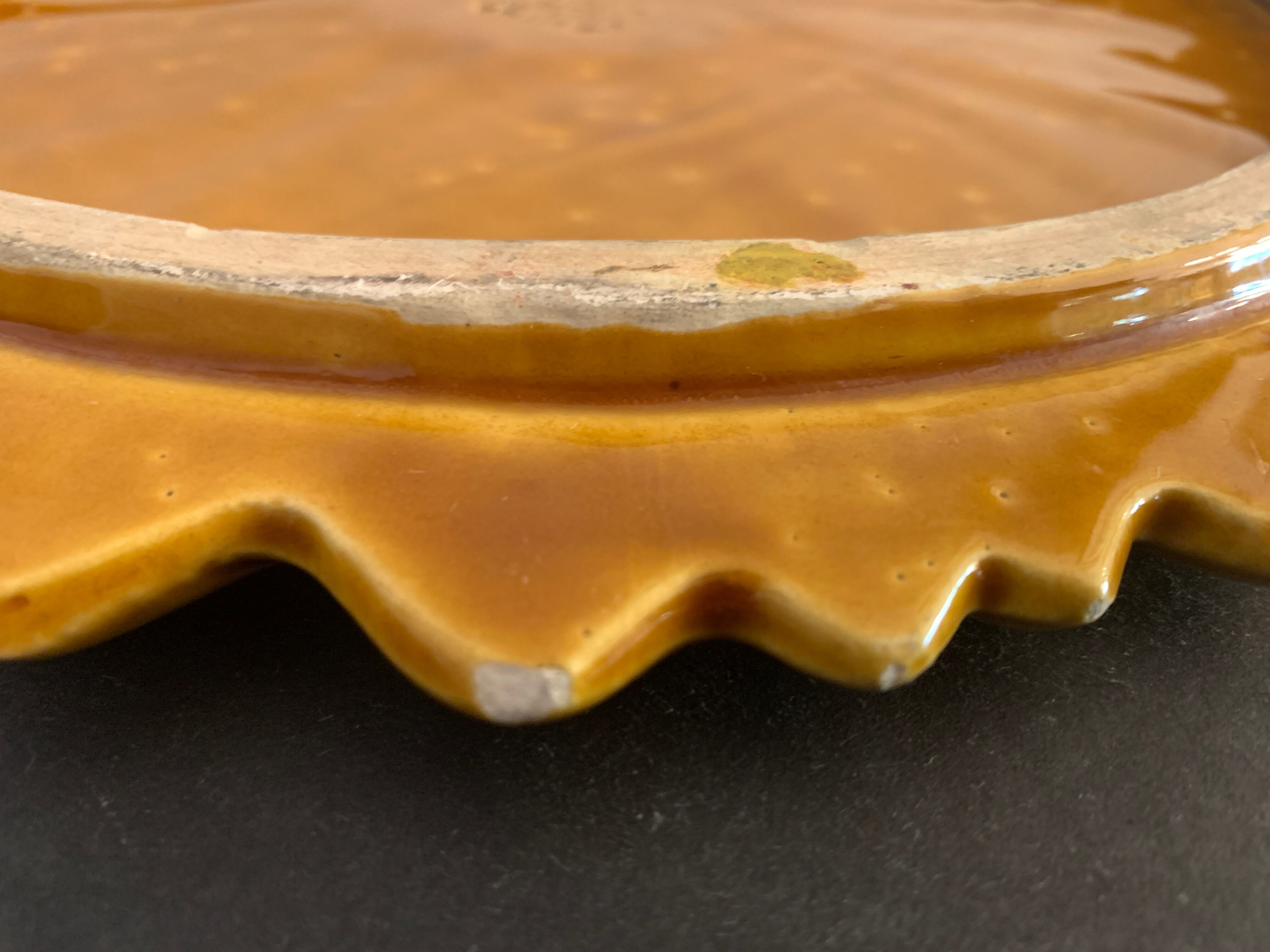 Underside Vallauris Aegitna, Saltalamacchia, sunflower model