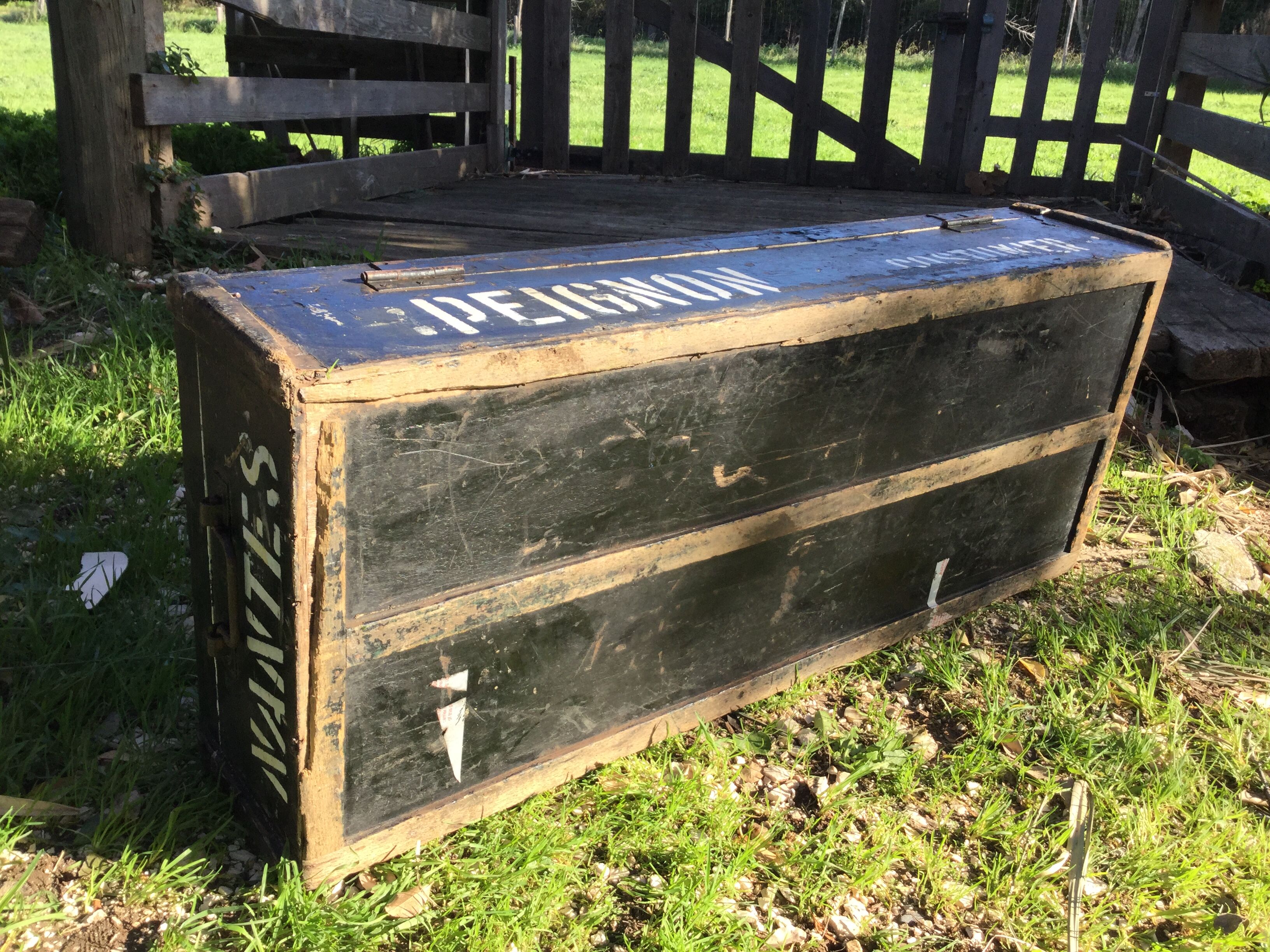 Painted home suit trunk