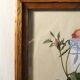 Lithograph P.J. Feared rose bush