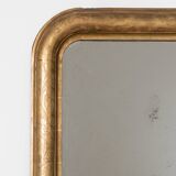 Narrow 19th C Louis Philippe Mirror with Flowers