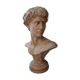 Bust sculpture David