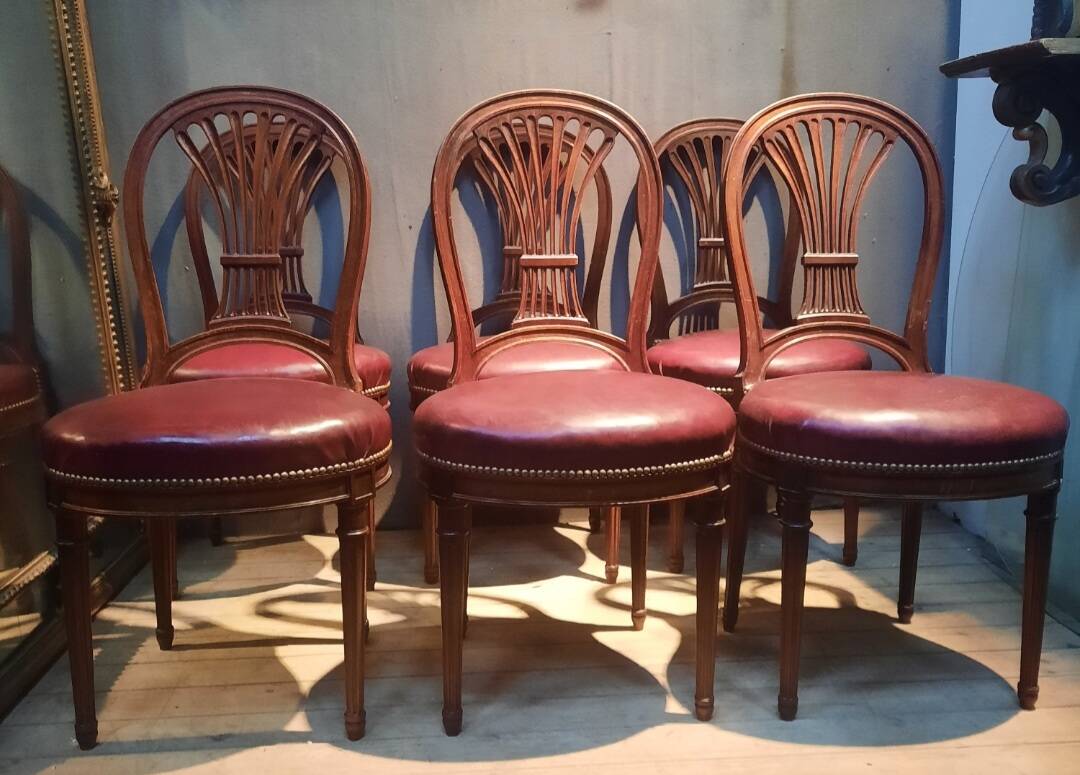 Serie de 6 chaises néo classique  du dix-neuvieme sciecle