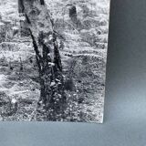 Film photography by Bernard Darot, Fougères II Club Nantais AFIAP