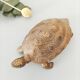 Cendrier laiton tortue