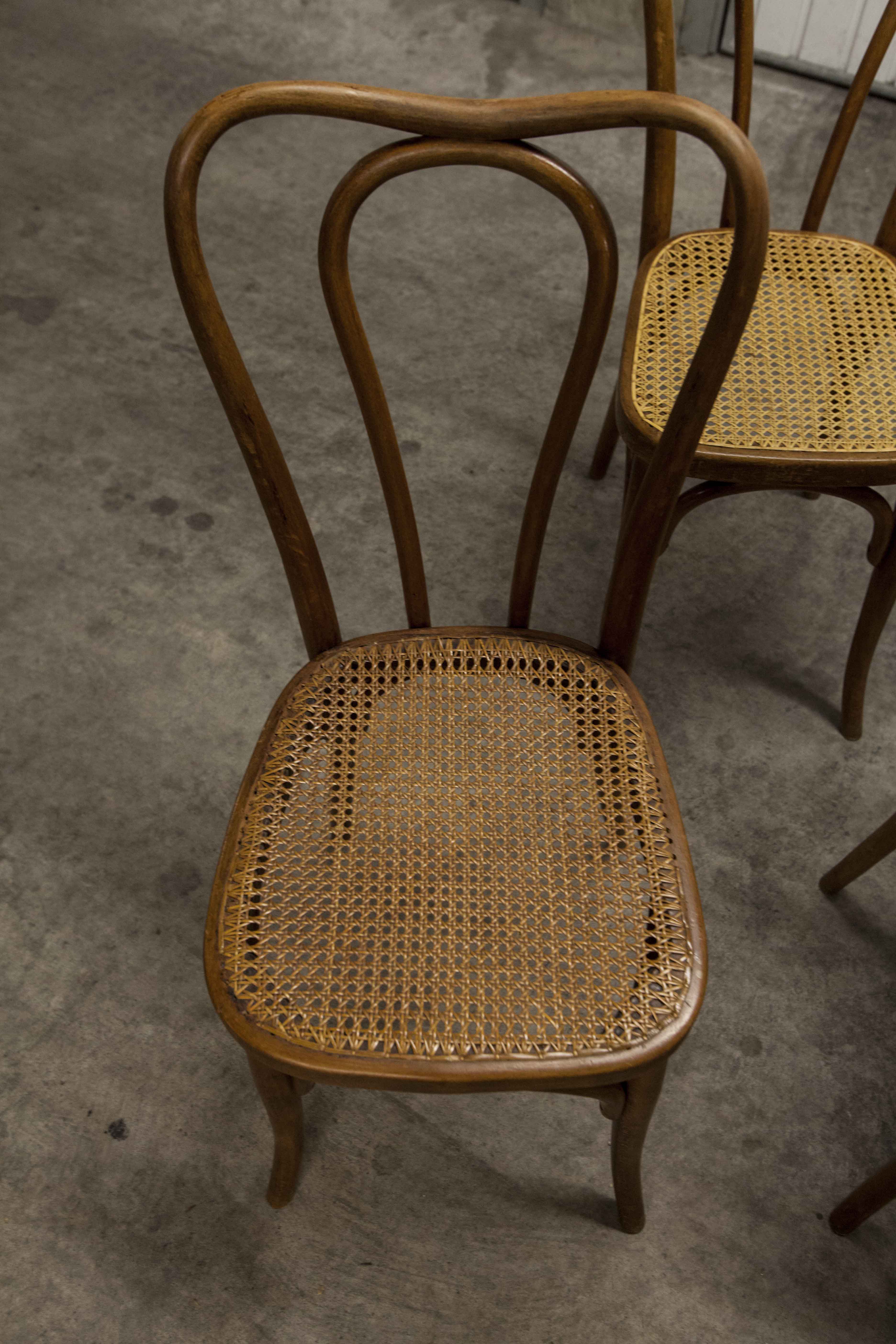Set of 6 chairs bistro j&j kohn 1900 seat cannage