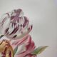 Botanical flower engraving 1899 by Élisa Champin - Tulips - Old print