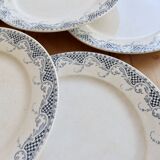 6 flat plates made of ironstone Sarreguemines U&C model Luchon