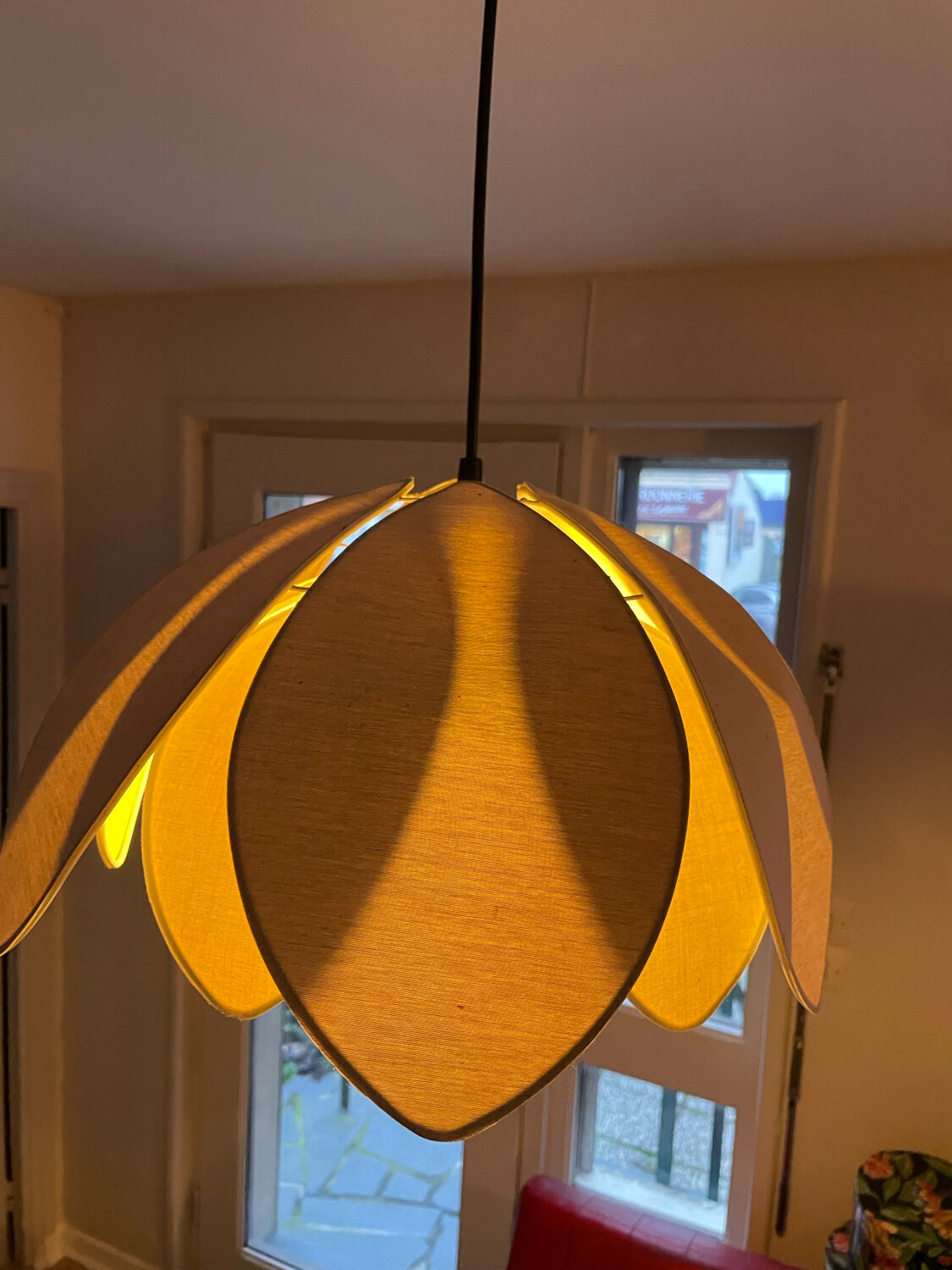 Lotus suspension