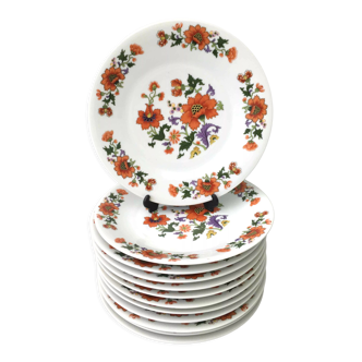 12 assiettes plates porcelaine aux œillets d’Inde