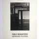 Bernard plossu, pablo monasterio, la photogalerie, 1976. original poster in b&w