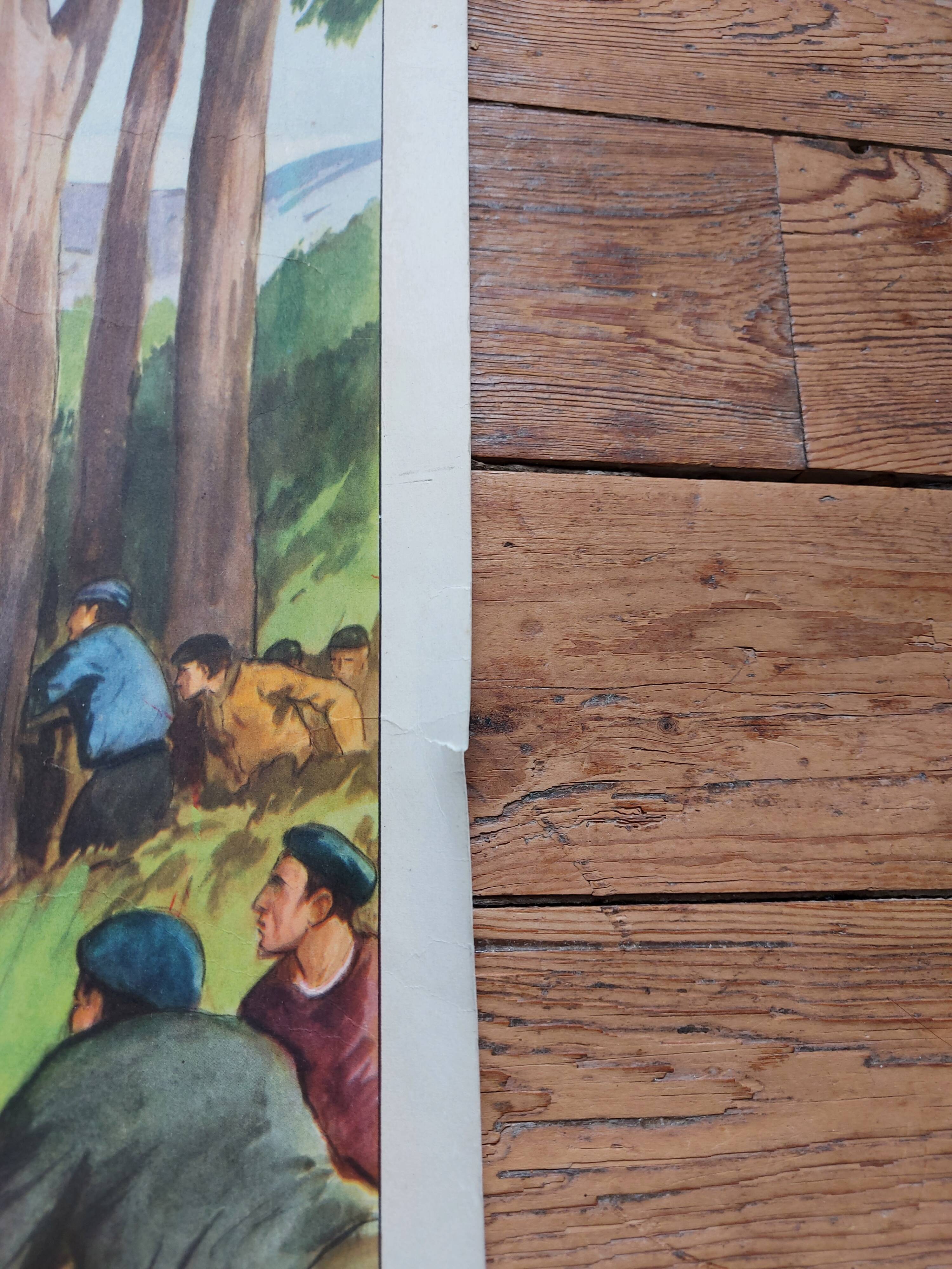 Rossignol / montmorillon educational poster