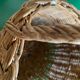 Round wicker basket in a bohemian style.