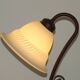 Vintage French Brown Metal Goose Neck Lamp With Textured Glass Shade