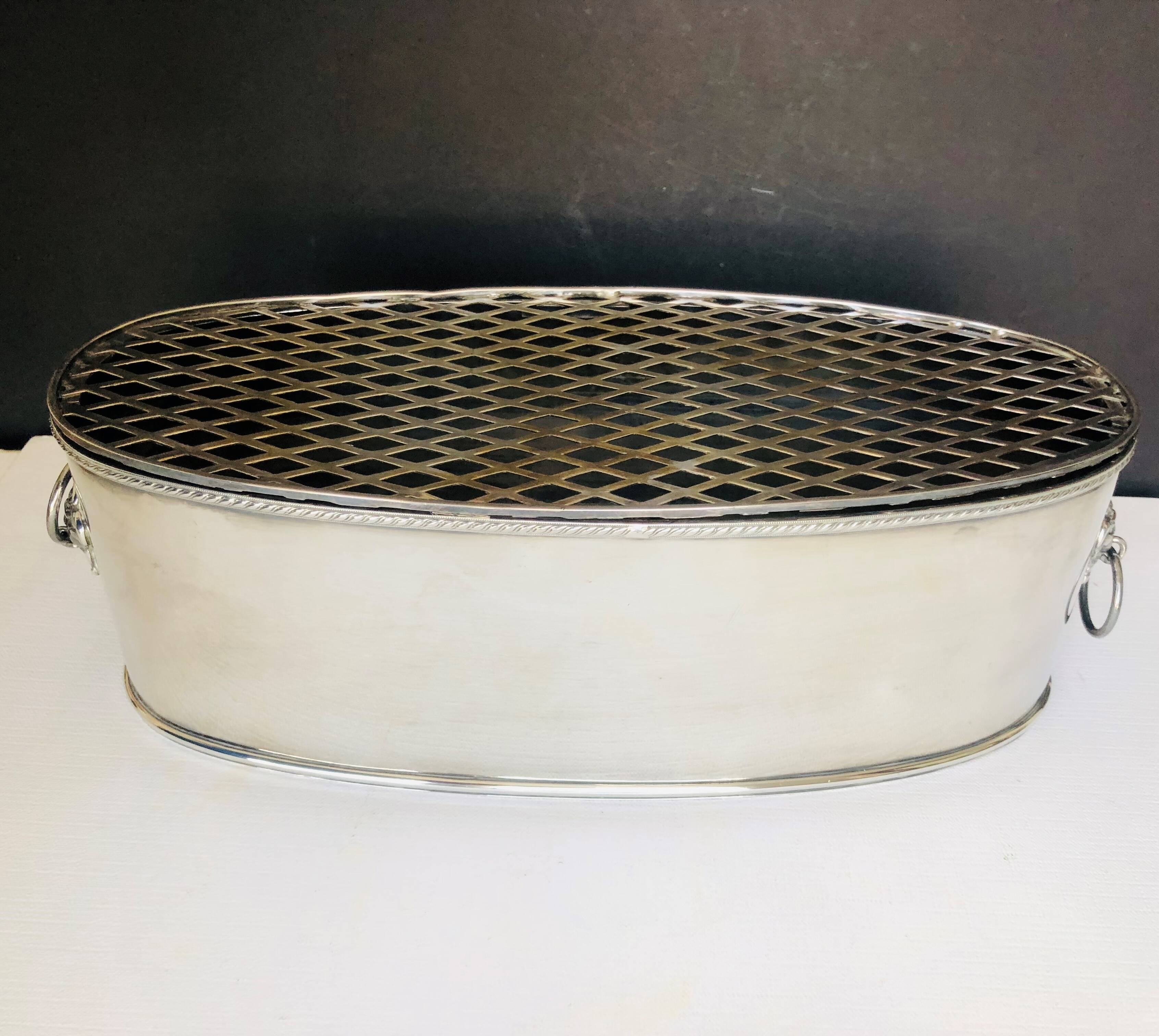 Silver metal planter